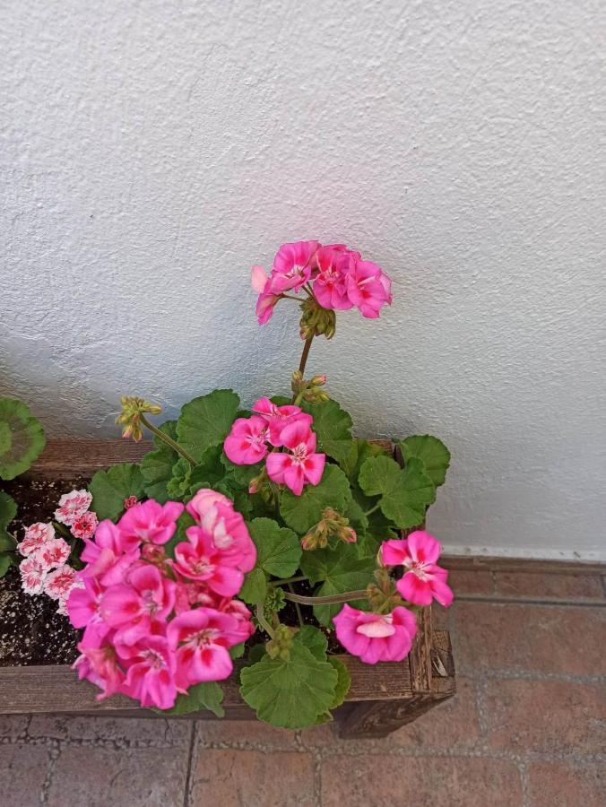 Apartamento Vasiliki Tesalónica Exterior foto